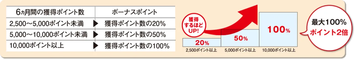 ボーナスポイント