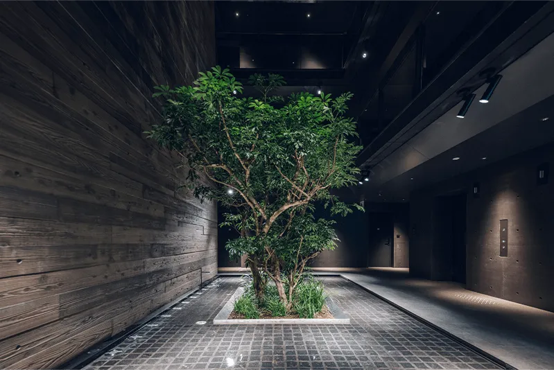 nol kyoto sanjoの内観