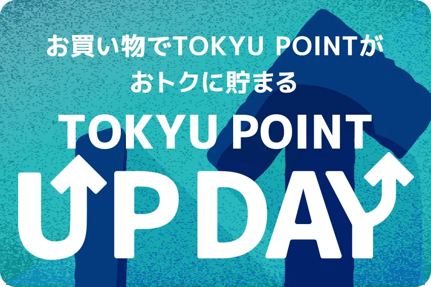 POINT UP DAY